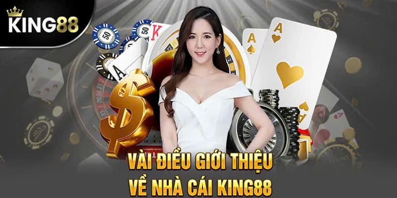 Những điều cần lưu ý khi chơi bingo online King88